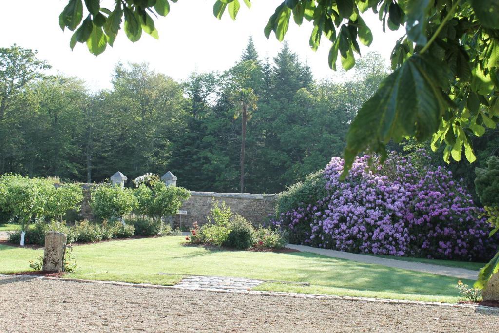 Bed and Breakfast Manoir De Kerangosquer Pont-Aven Habitación foto